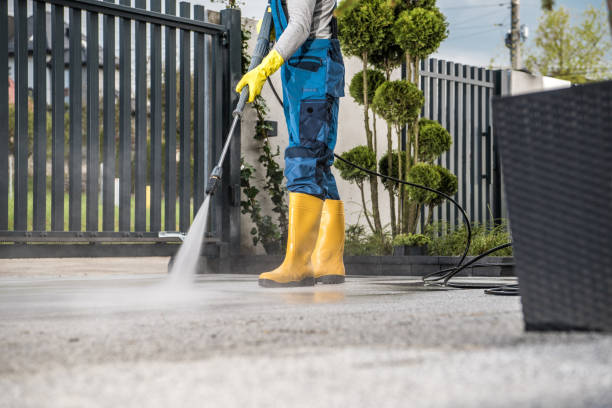 Best Building Exterior Washing  in St Bonifacius, MN